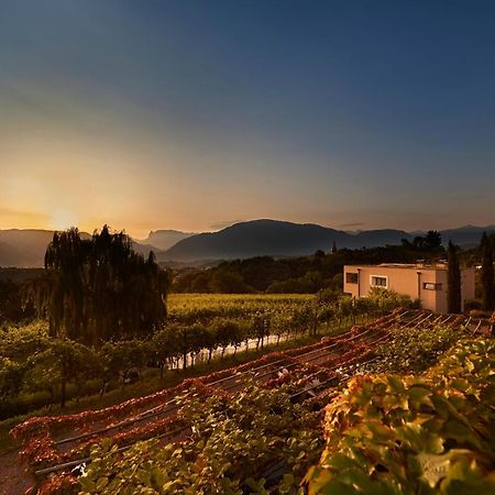 Weingut Stuck Apartment Appiano Sulla Strada Del Vino Exterior photo
