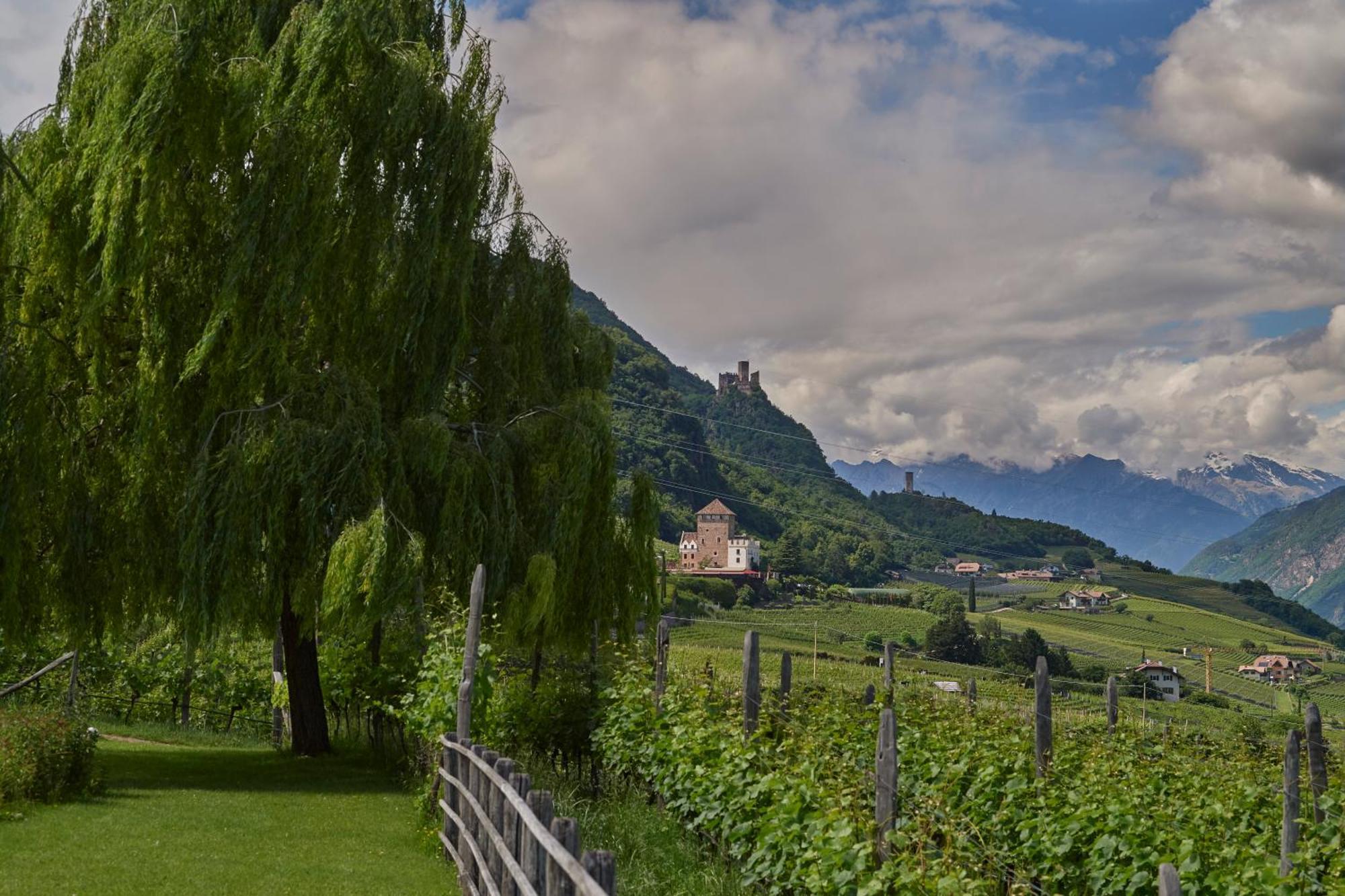 Weingut Stuck Apartment Appiano Sulla Strada Del Vino Exterior photo