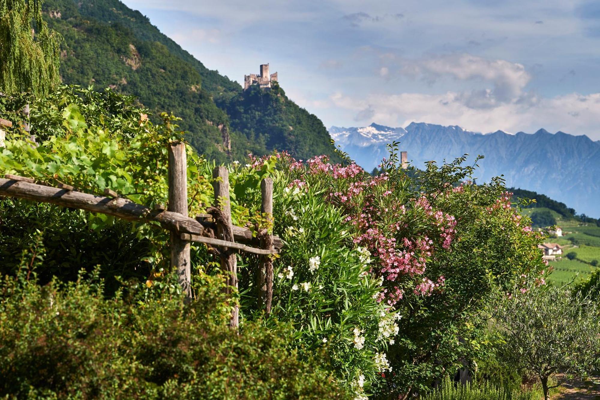 Weingut Stuck Apartment Appiano Sulla Strada Del Vino Exterior photo