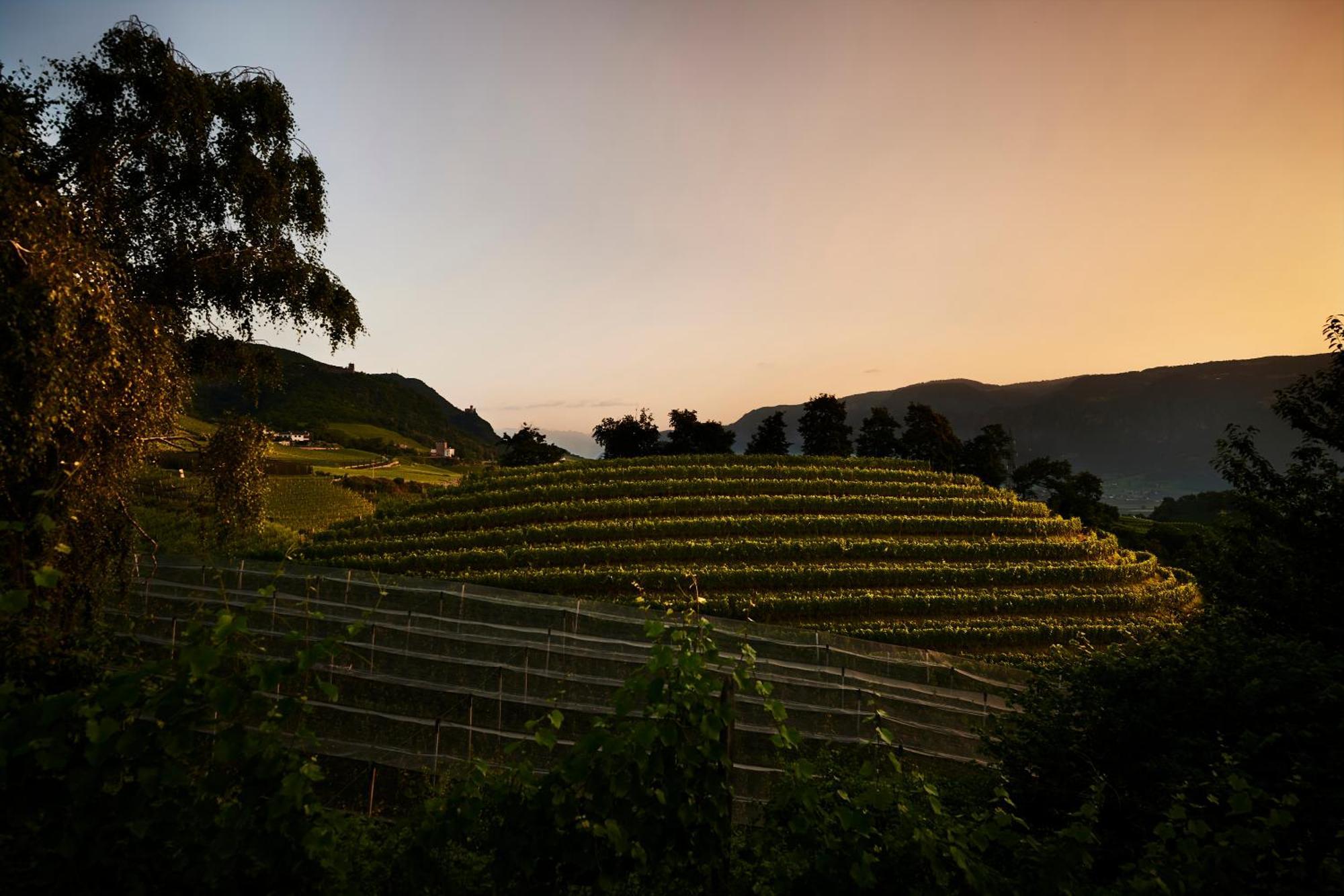 Weingut Stuck Apartment Appiano Sulla Strada Del Vino Exterior photo